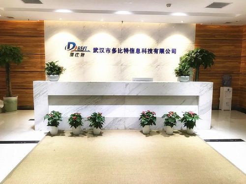 武汉 崛起中的中国互联网与软件产业新星